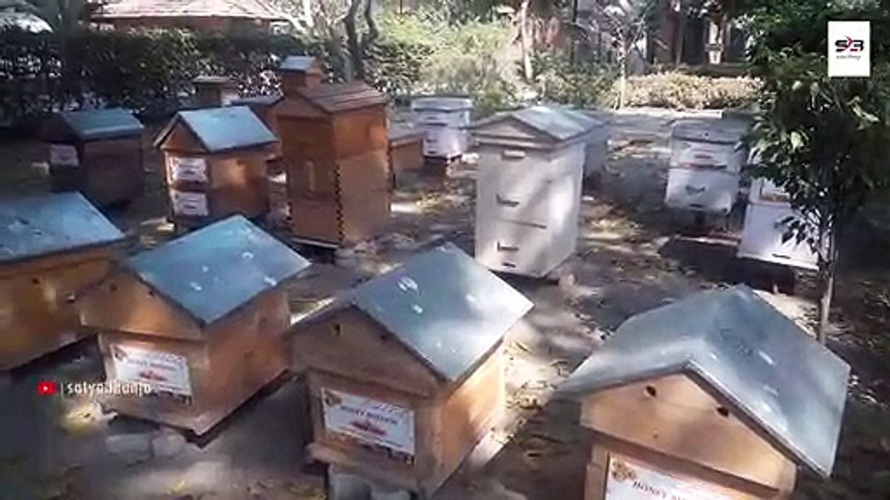 Honey Mission! | How to Start a Honey Bee Farm with KVIC | Satya Bhanja