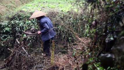 Hunan home cooking, konjac fried beef, have you ever eaten