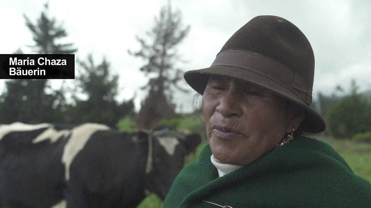 Sterbender Gletscher lässt Ecuadors Bauern verzweifeln