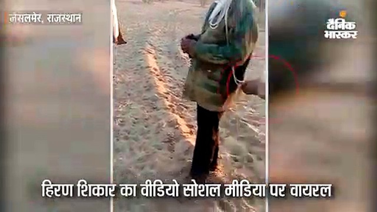 हिरण शिकार का वीडियो सोशल मीडिया पर वायरल