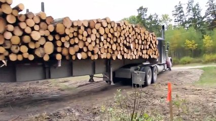 El Mayor De Los Transportistas Y El Más Largo De Los Camiones En El Mundo!