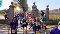 Marathon de la côte chalonnaise : départ des semi-marathoniens