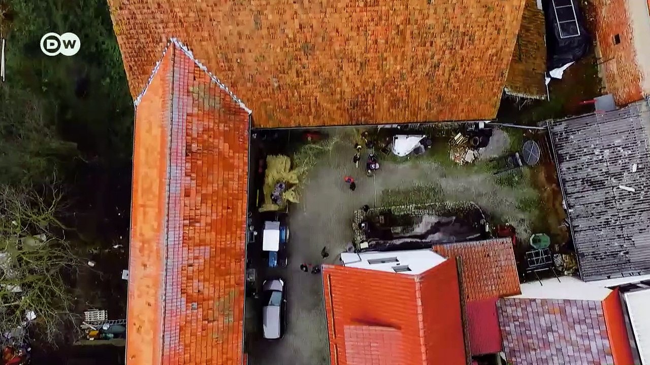 Von oben bis unten in Stroh gewickelt | Euromaxx