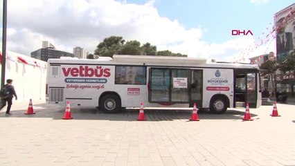 İbb, 'vetbüs' Bir Yılda 2 Bin Sahipsiz Hayvana Hizmet Verdi