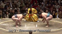 Kisenosato Yusho - Hatsu 2017