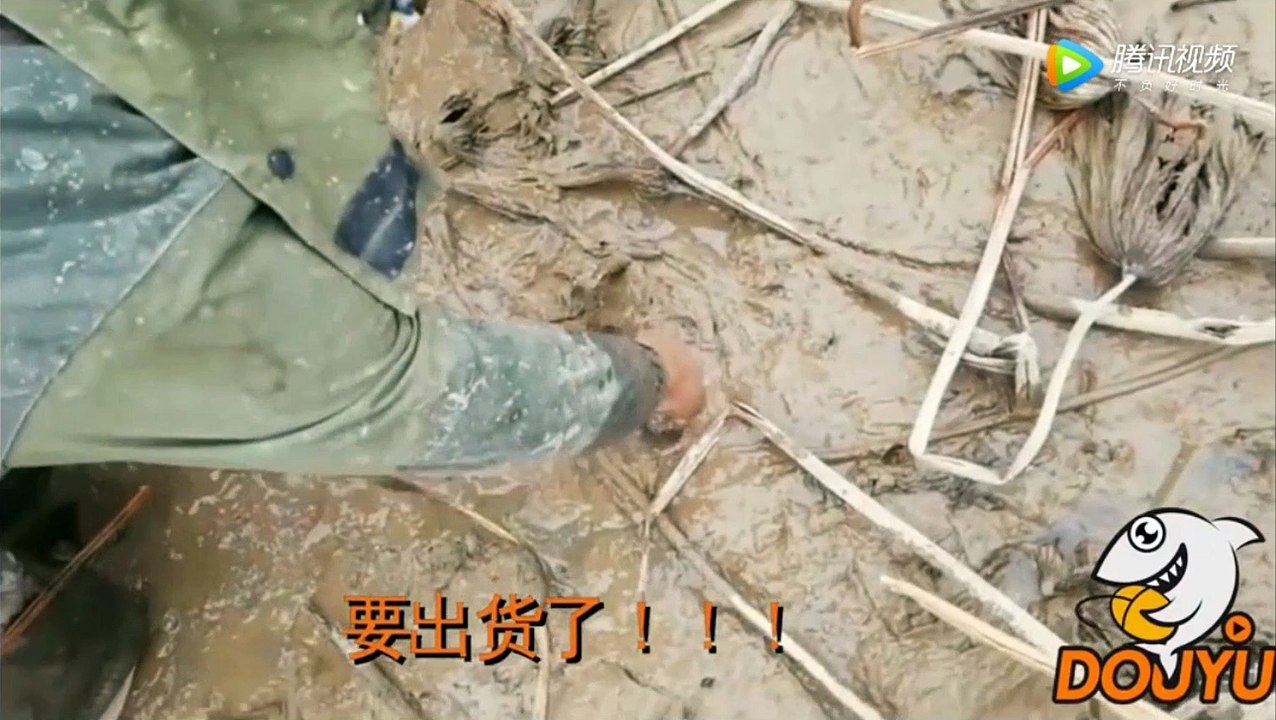 How to Find and Catch Turtles By Hand