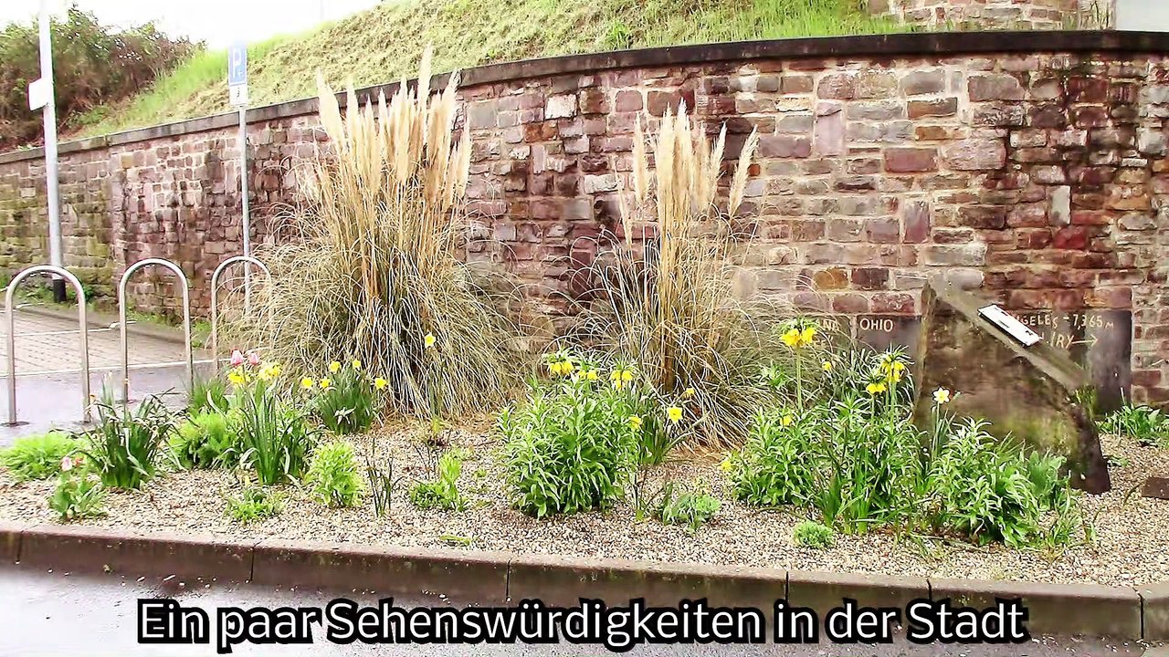 Zu Besuch in Andernach – 1