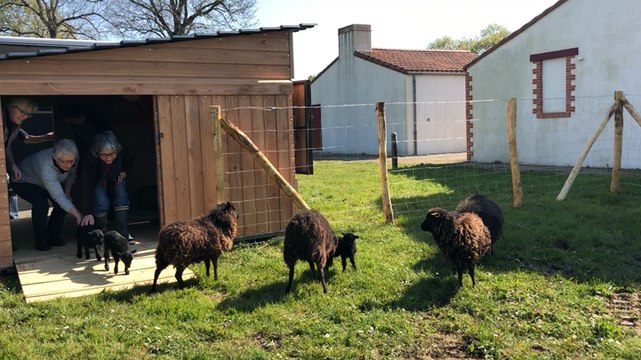 L’arrivée de nouveaux locataires à la ferme de la Terrière
