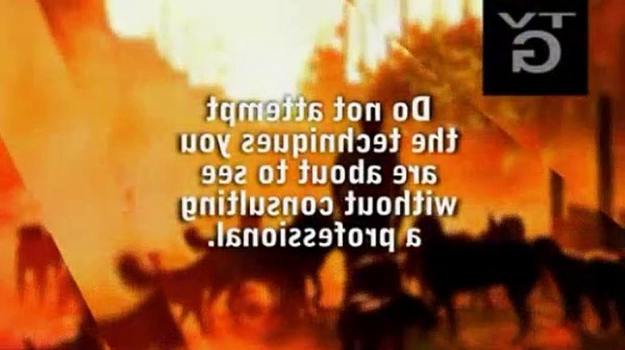 Dog Whisperer S04E37 Sooner,Trace and Casanova video Dailymotion