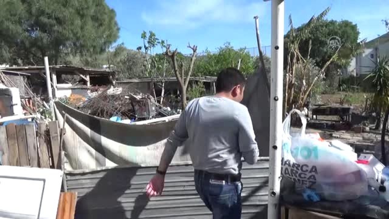 Sokak Köpeklerinin Kümes Hayvanlarını Telef Ett...