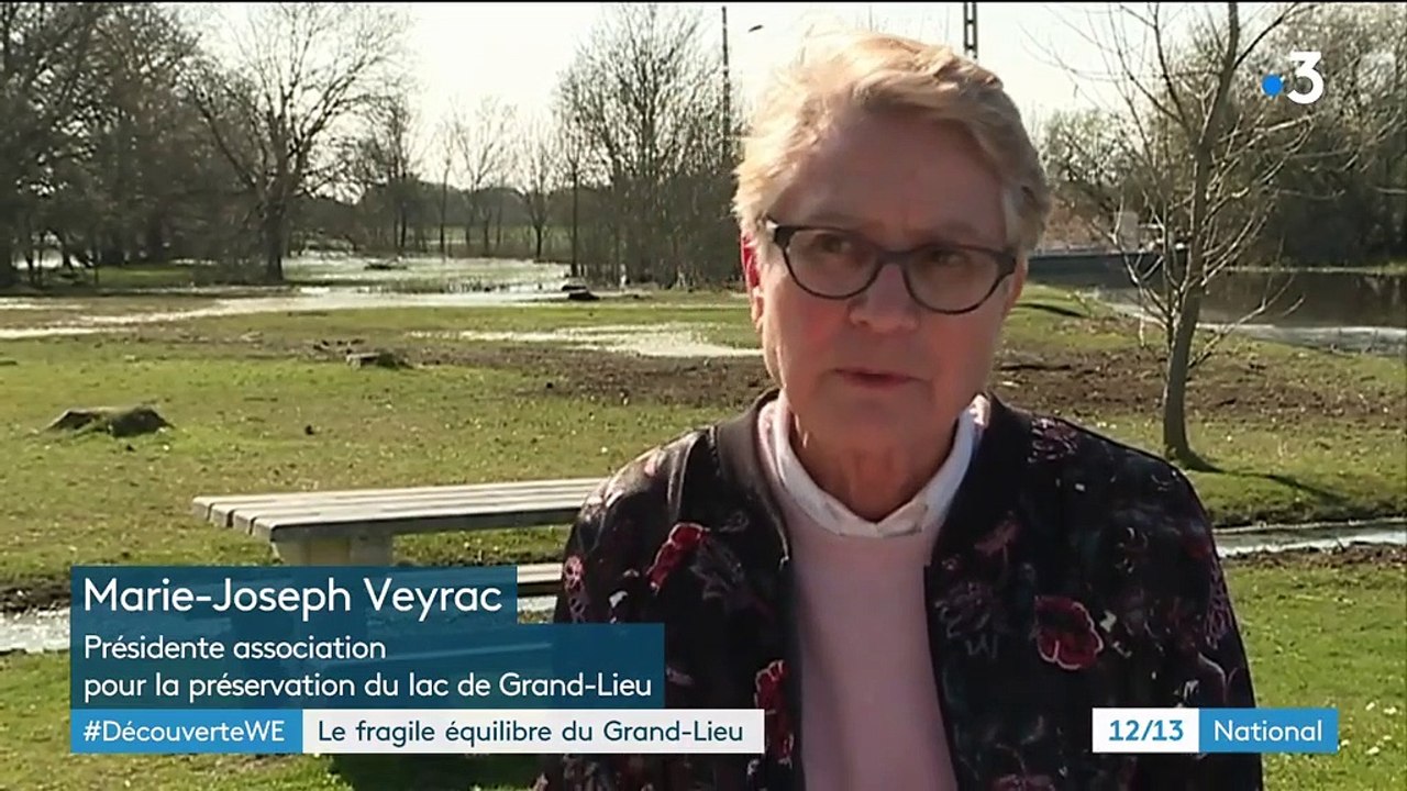 Loire-Atlantique : le lac de Grand-Lieu, un site préservé