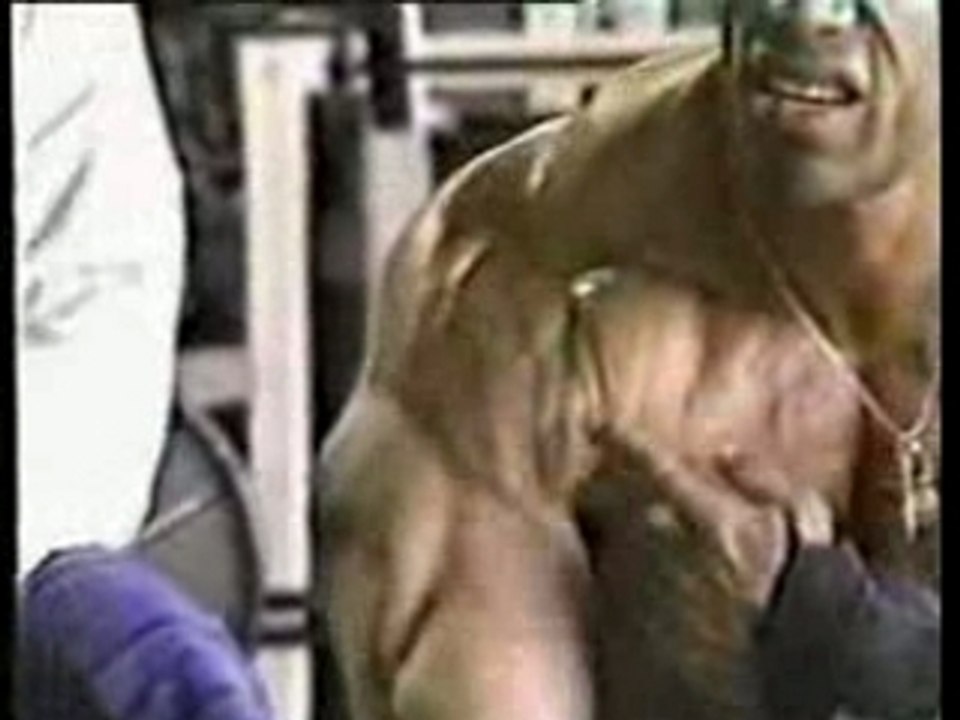 Kevin levrone bfto 1996 part 1