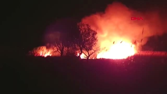 Bursa İznik Gölü'nde Sazlık Alanda Yangın