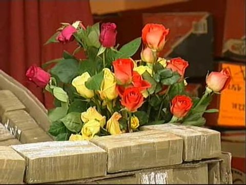 Reparten en vitoria toneladas de flores que fueron utilizadas para camuflar un alijo de droga