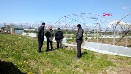 Balıkesir Burhaniye'de Poyraz Fırtınası Seralara Zarar Verdi