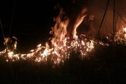 İznik'te Sazlık Alanda Yine Yangın Çıktı