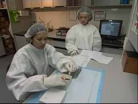 Esperanzas ante el sida