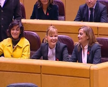 Leire Pajín promete su cargo como senadora