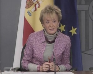 Gobierno aboga por esperar sentencia TC