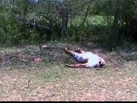 El crimen organizado suma cuatro nuevas muertes en México