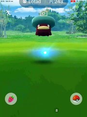#LOTAD #LOMBRE E #CASTFORM #SHINY #TODAY
