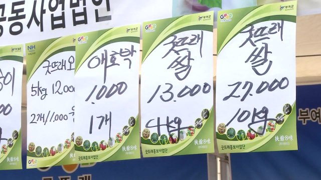 '봄의 서막' 알리는 농산물 직거래 장터 / YTN