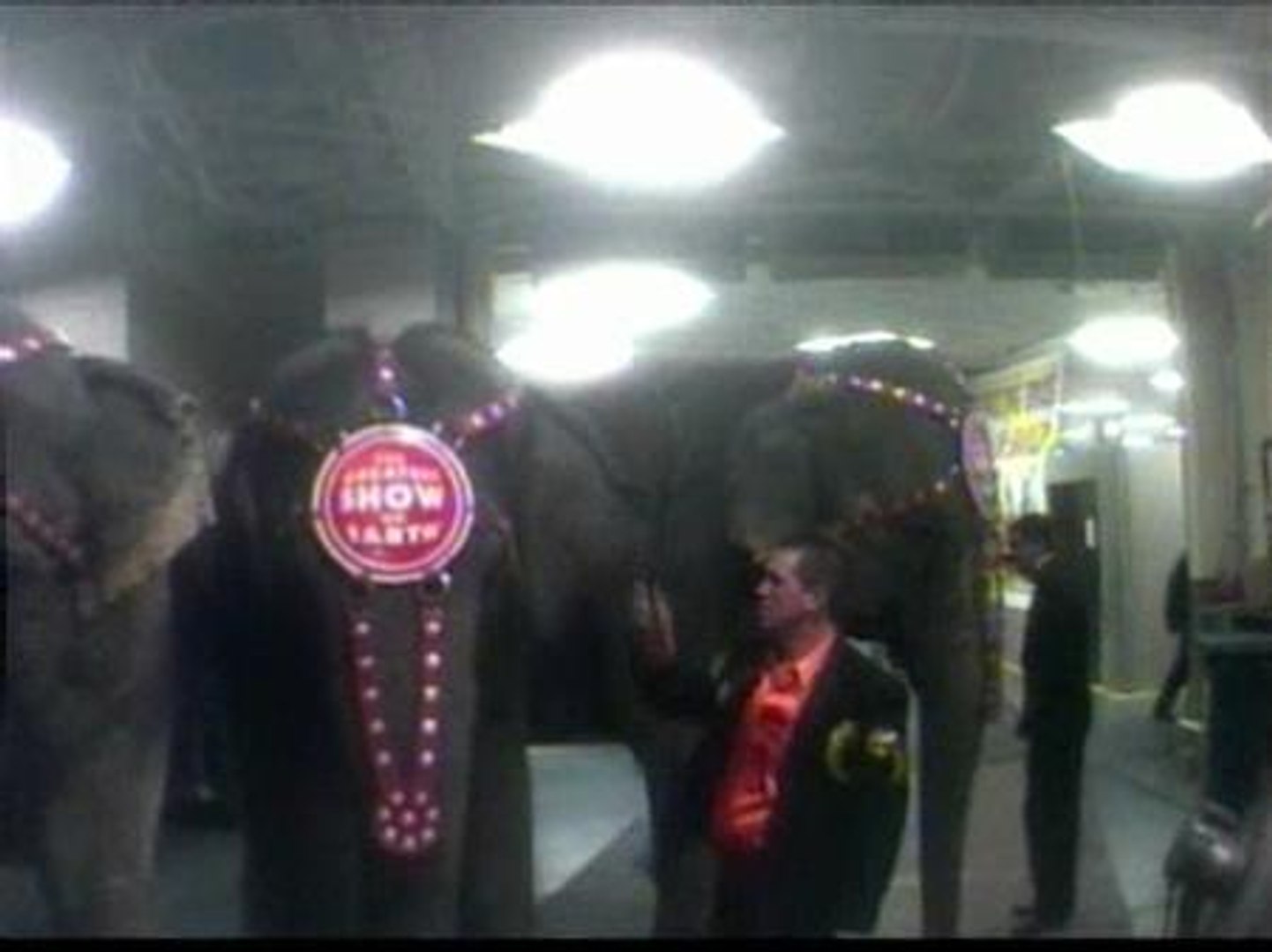 Circos maltratadores de elefantes, image size:1442x1080