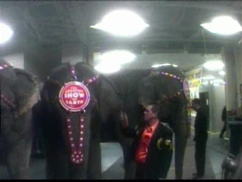 Circos maltratadores de elefantes