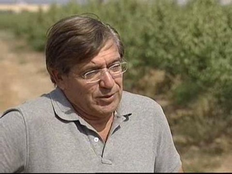 La crisis agudiza la difícil situación económica de los divorciados