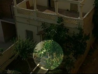 Peluquerías con final feliz