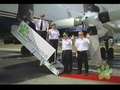 Pet Airways, la aerolínea para mascotas