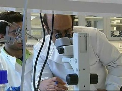 Científicos británicos afirman haber obtenido esperma artificial
