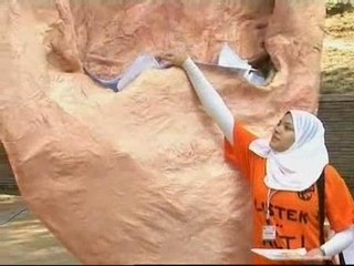 Una oreja gigante para que los líderes del G8 no se hagan los sordos