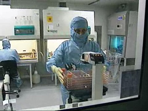 Fístulas cicatrizan gracias a células madre