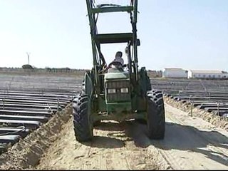 Los parados españoles rechazan trabajar en el campo