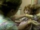 400 niños y jóvenes participan en los ensayos de la vacuna contra la Gripe A