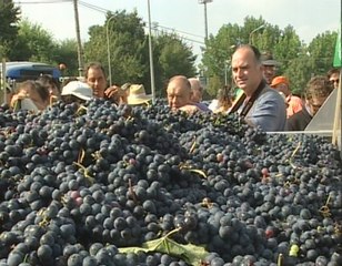 Descargar video: Tractorada por unos precios más justos