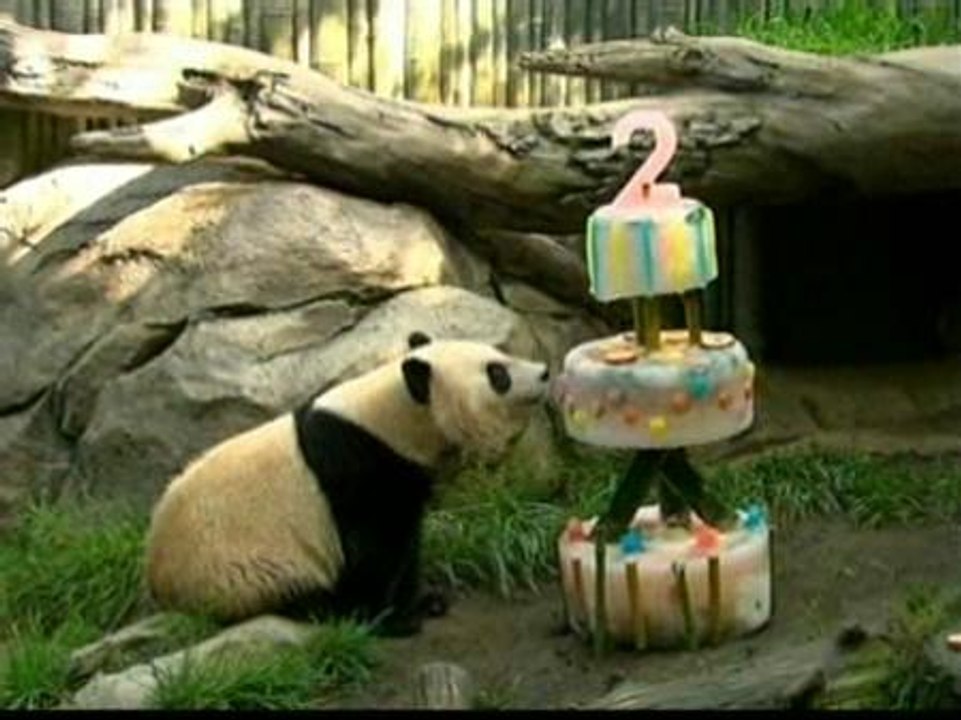 Fiesta de cumpleaños en un zoo de California