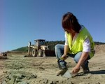 Descubren en Extremadura restos arqueológicos