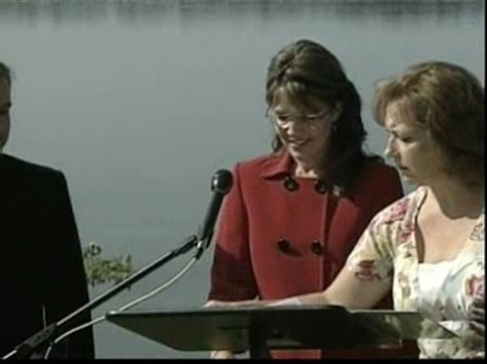 Sarah Palin dimite