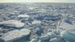 El deshielo acelerado en el Ártico alerta del calentamiento global