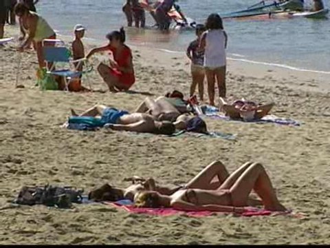 Plagas de avispas en las playas