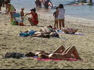 Plagas de avispas en las playas