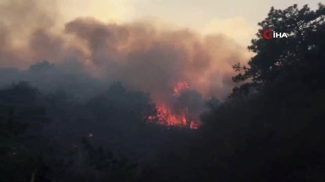 Çin'de Orman Yangını: 6 Bin Kişi Tahliye Edildi
