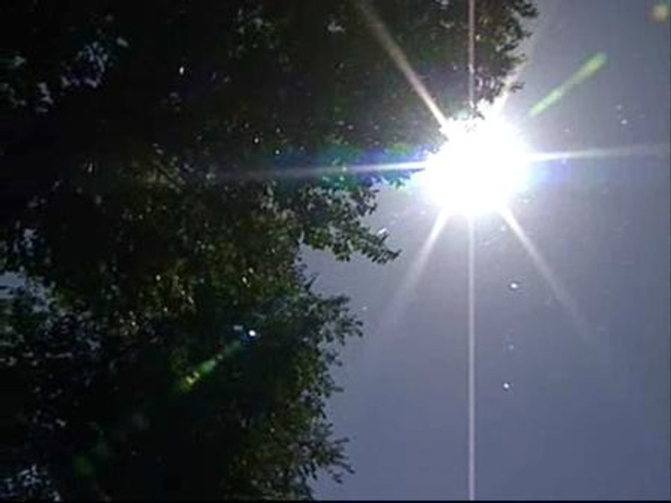 Abanicos contra el calor