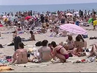 El FIB entra en escena