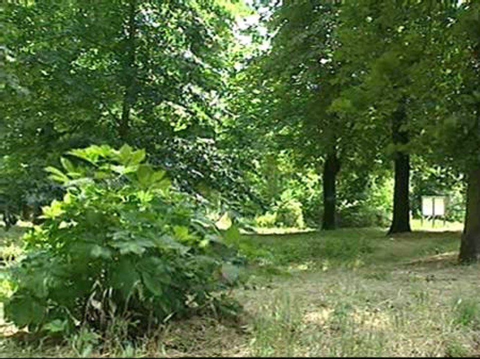 La Policía busca un zulo cerca de la casa alquilada de los dos etarras detenidos ayer