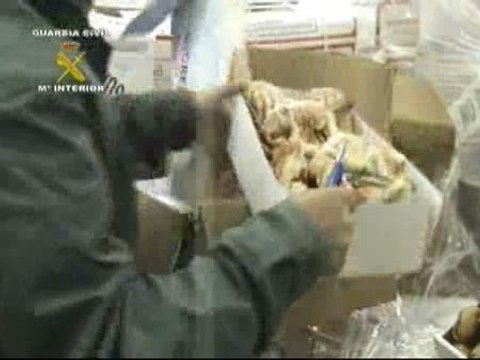 Incautadas 16 toneladas de pescado caducado desde hace tres años