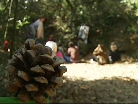 La primavera puede ser una gran lección