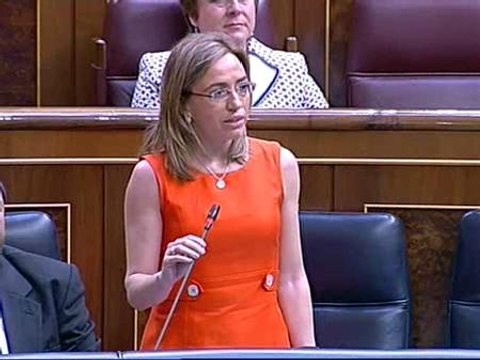 Chacón apela a la dignidad del Gobierno frente a la cobardía del PP